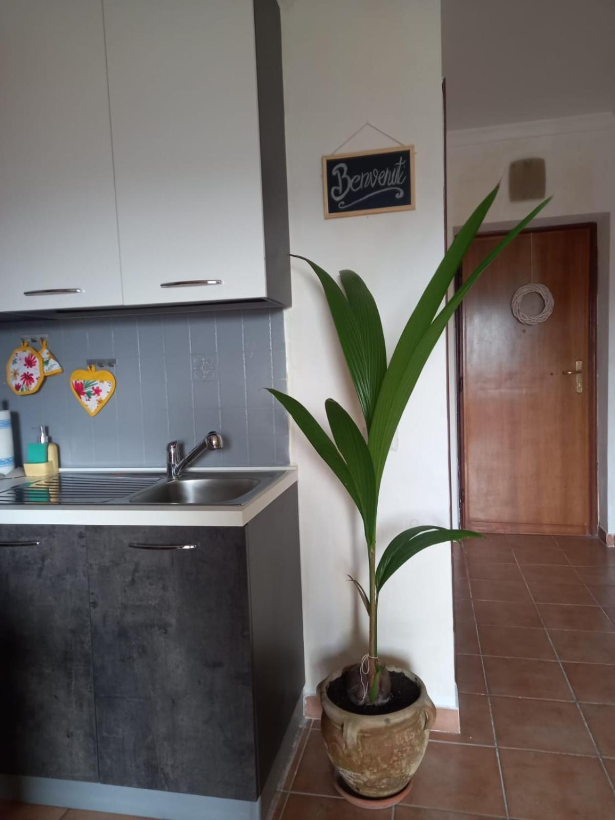 Antica Fonte Apartment